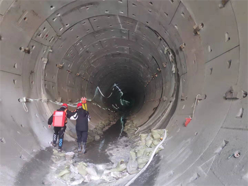 重庆分公司.png 重庆分公司.png